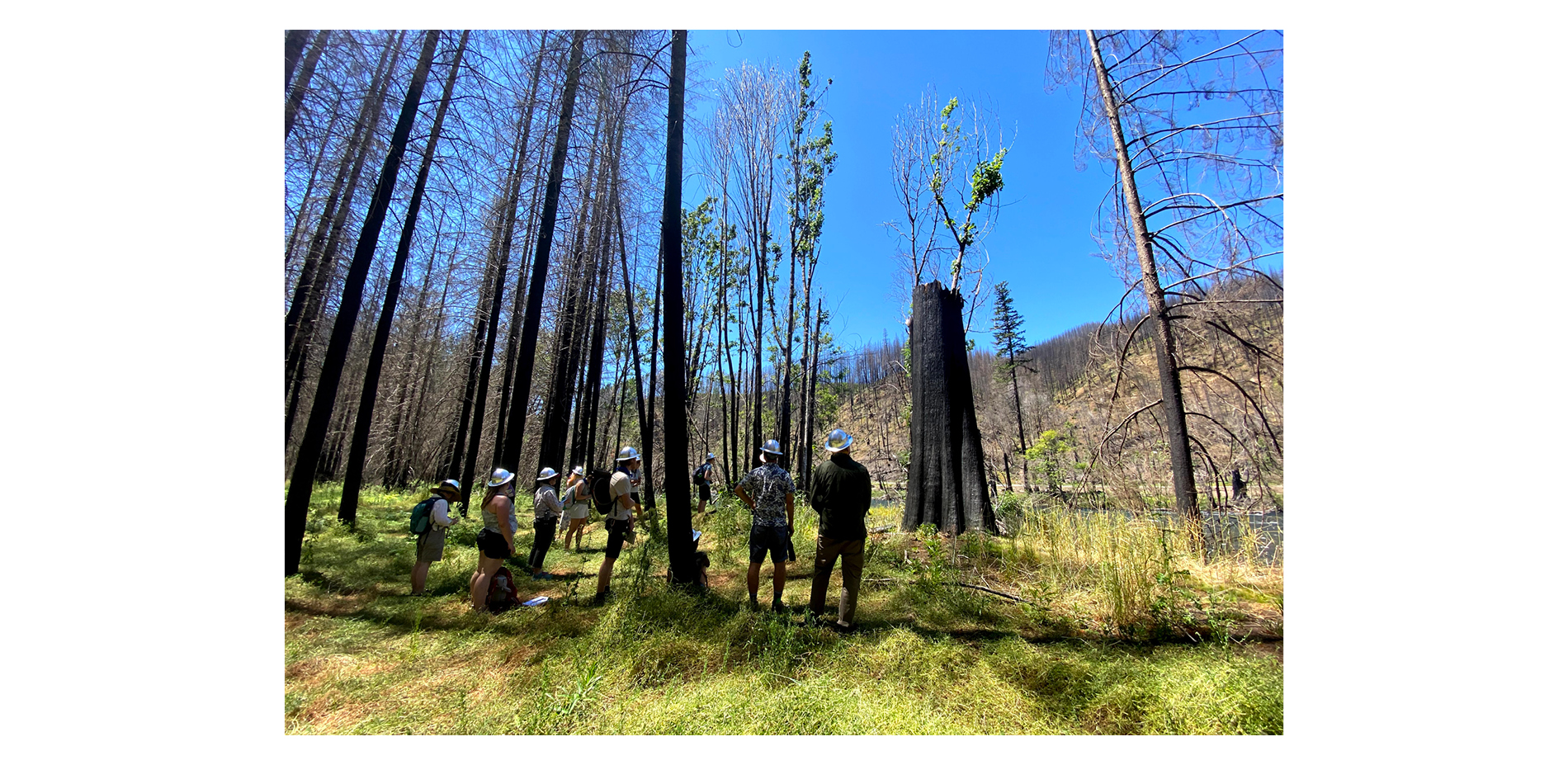 Overlook Field School: Wildfire Recovery